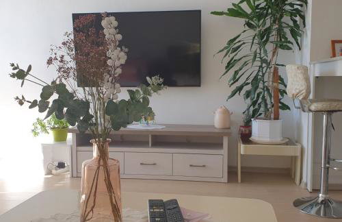 VJEKA HOME - Foto 10