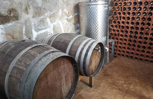 CASA rural DOLORES en Adeje - Foto 34