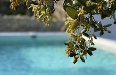 Masía La Costereta - Foto 19