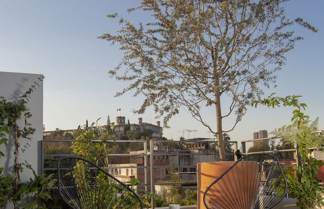 V65 Mexico - Foto 75