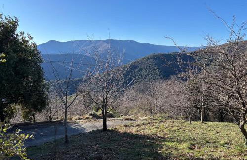 Le Châtaignier - Foto 20