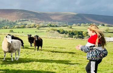 Spacious Cottage - Sleeps 4 - in the Black Mountains - Photo 27