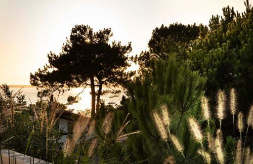 Villa du Pyla - Foto 29