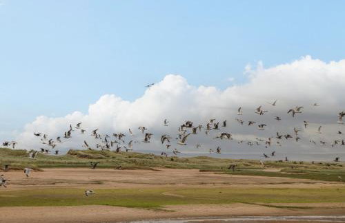 Lossiemouth Bay Cottage - Foto 48