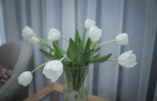 Casa Das Condessinhas - Foto 17