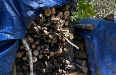 Luxe Home in Lecanto with Pool - Foto 52