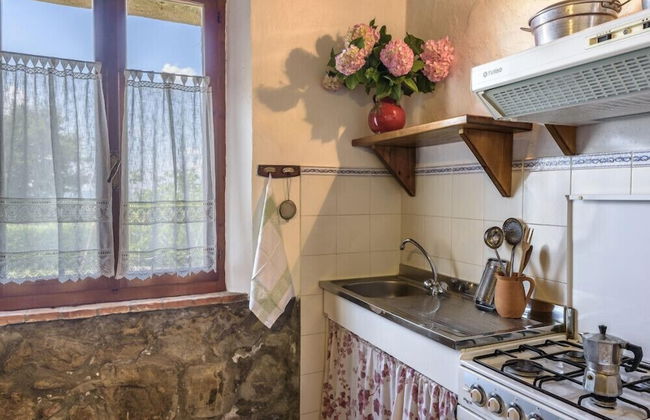 Verdidea - Podere del Mezzadro - Foto 22