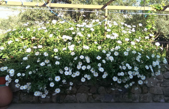 Apartamento Tía Antonia - Photo 18