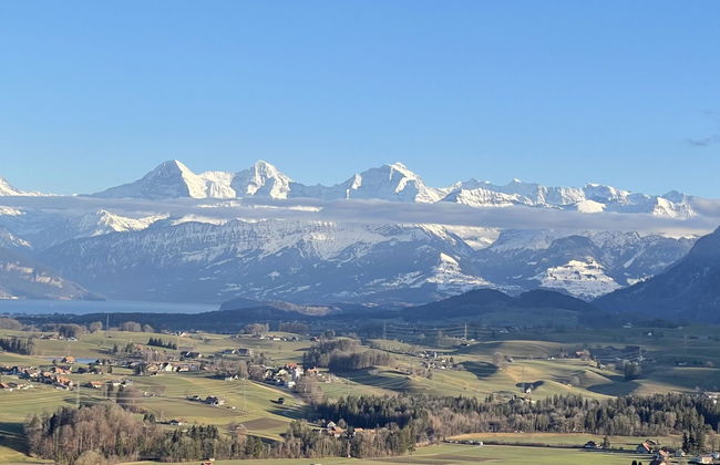 Panoramaferienwohnung Waldkircher - Foto 33