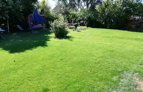 Alte Försterei - Foto 7