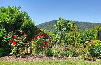 Ferienwohnung Eichkatzel - Foto 39