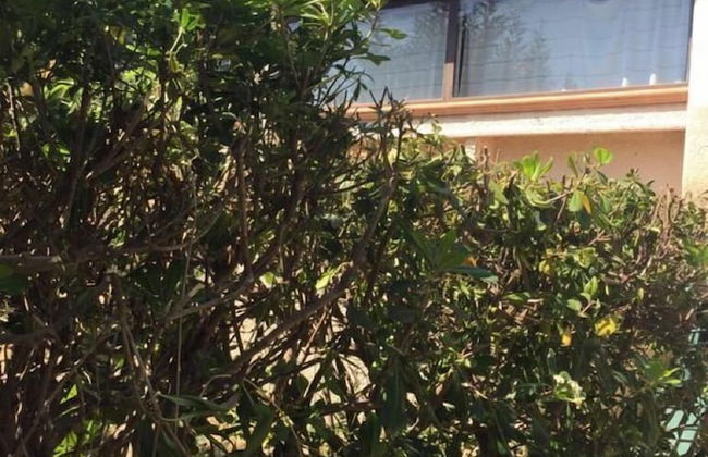 Villa Il Trullo - Photo 16