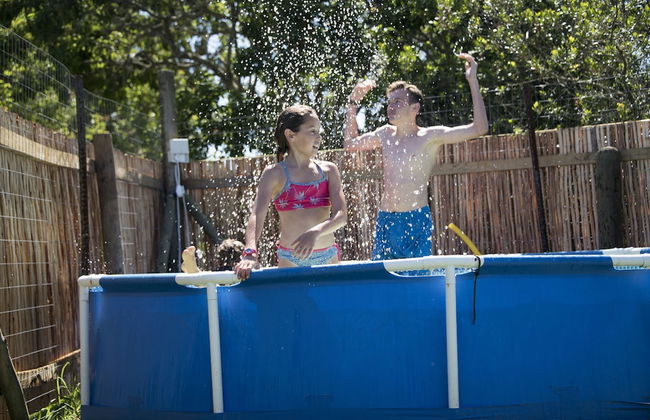 Forest Edge - Foto 54