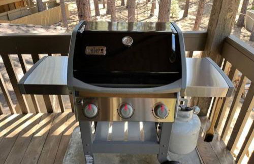 6 Lynx Sunriver - Foto 12