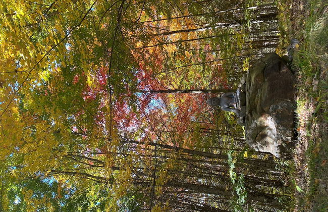 Relaxing Nature Retreat Perfect for Large Groups - Foto 56