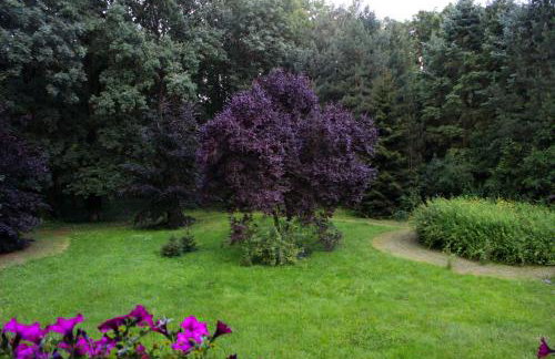 Szczodre Sybillenort blisko Wrocławia - Photo 39