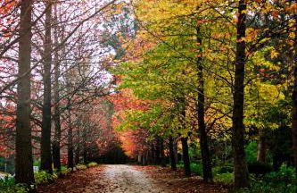 Quinta de Mourães - Casa do Xisto - Foto 16