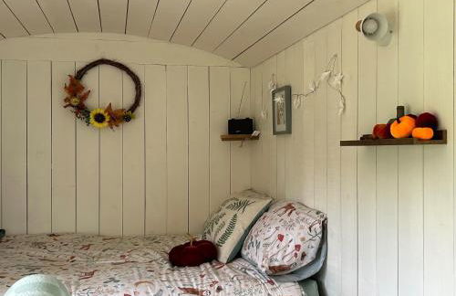 Cosy Owls Roost Hut With Private Hot Tub - Foto 11