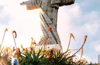 Pana House - Photo 55