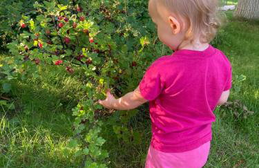 Poddasze Pierwoszyno - Foto 25