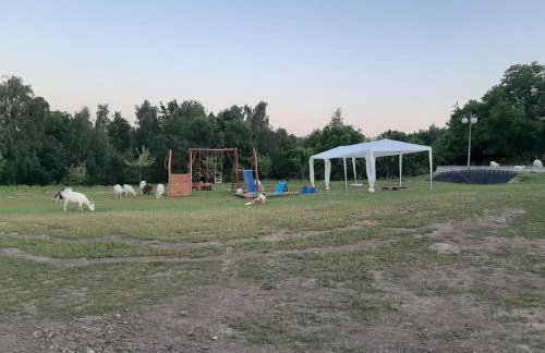Gosp. Agroturystyczne Stary Gaj - Foto 67