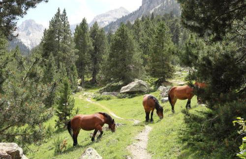 Apartaments Casa Sastressa - L'Amfitriona - Photo 12