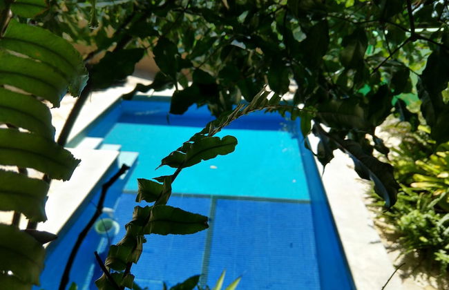 Bamboo Flat Residencial - Photo 65