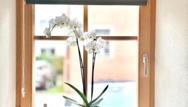 Ferienwohnung Landliebe Wettelsheim - Foto 4