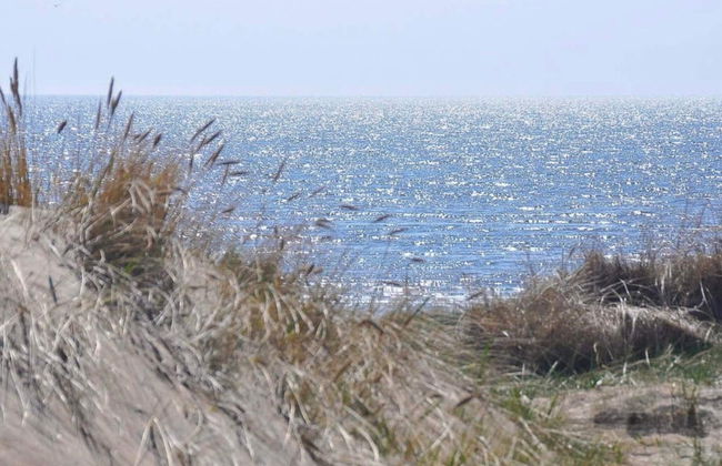 6 Person Holiday Home in Halmstad-by Traum - Foto 14