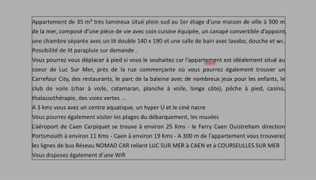 Appartement 35 m2 1er étage 200 m de la mer avec jardin - Photo 4