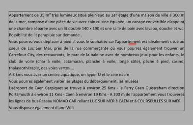 Appartement 35 m2 1er étage 200 m de la mer avec jardin - Photo 4