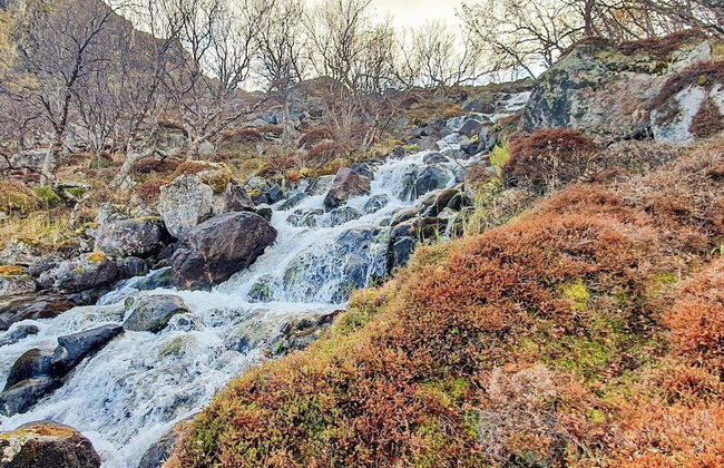 7 Person Holiday Home in Jarfjord-by Traum - Photo 35