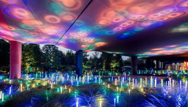 Musée du quai Branly - Jacques Chirac Ticket - Foto 4