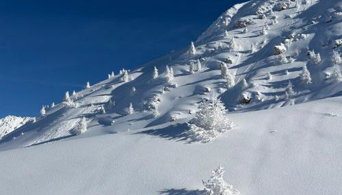 3 Chalets Paradiski, les Arcs Peisey Vallandry - 10 personne x 3 - Foto 4