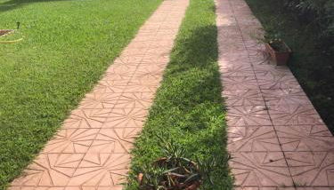 Da Mery - Foto 3, Garden view