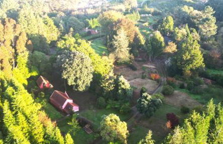 Quinta Das Faias - Foto 7