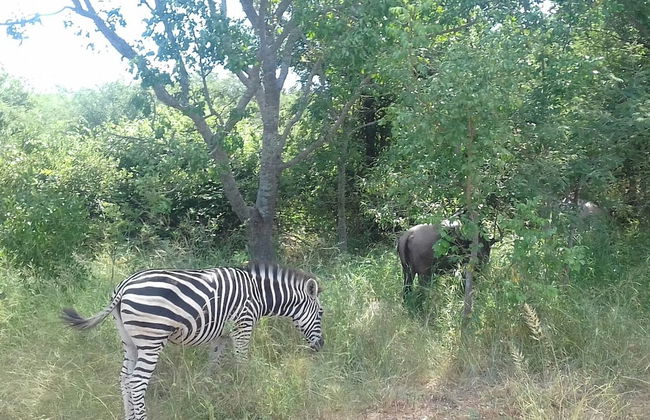 The Daniel'lo Mdaka Holiday Residence - Foto 40