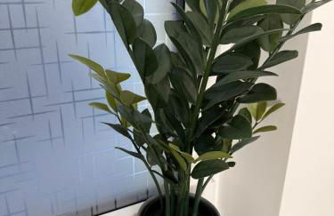 Lili`s Ferienwohnungen mit Schlossblick - Foto 13