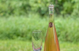 Modern Vacation Home Minutes Away From The Parks - Foto 37