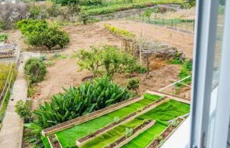 Loft Vista al Teide - Foto 34