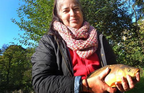 Charming 2-Bed Cabin in Domfront-en-Poiraie - Foto 32