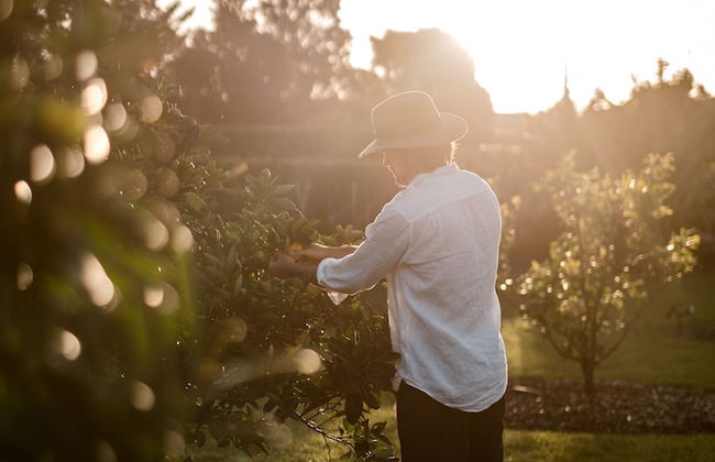 Linnaeus Suite, Berry - by Linnaeus Collection - Foto 18