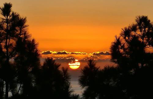 La Somadita Tinizara - Foto 4