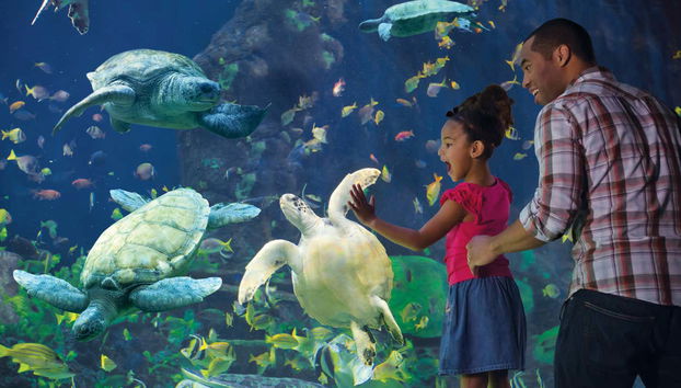 Seaworld San Diego Entrance Ticket - Foto 3