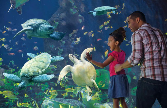 Billet pour SeaWorld San Diego - Photo 3
