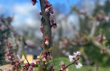 Villa La Quercia Country House - Foto 49