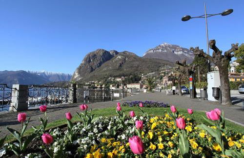 Rustico Logo Bellavista - Foto 62