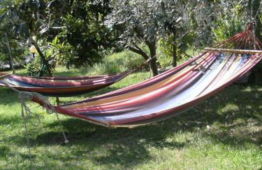 Olive Garden Villas and Apartments - Foto 75