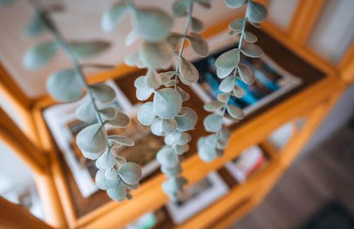 LES PETITS ROYS - Proche centre ville - Cosy - Foto 28