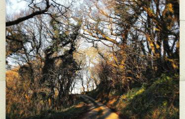 Downe Cottages - Foto 51